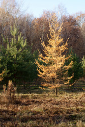 Similar image 345458