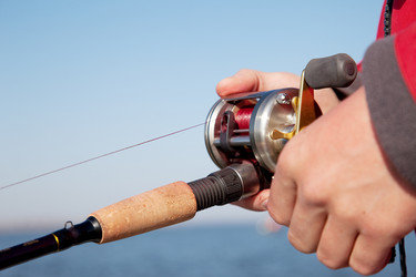 Similar image 345569