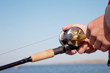 Similar image 345570