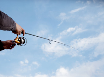 Similar image 345575