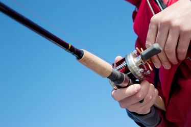 Similar image 345576