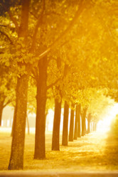 Similar image 345600