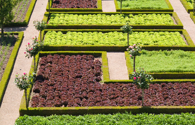 Similar image 345686