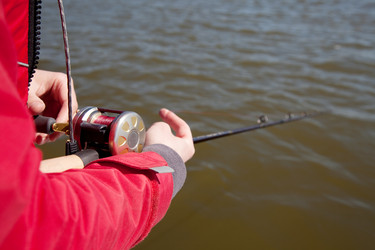 Similar image 345783