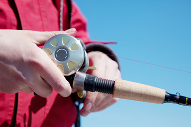 Similar image 345808