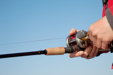 Similar image 345818