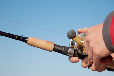 Similar image 345822