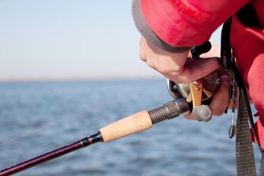 Similar image 345824