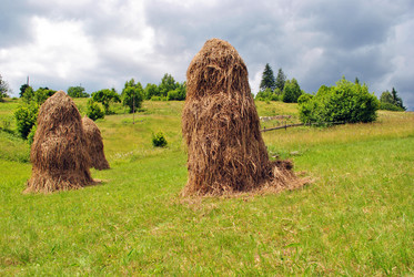 Similar image 345836