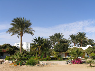 Similar image 345975