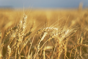 Similar image 346001