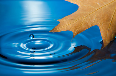 Similar image 346038