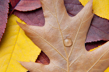 Similar image 346042