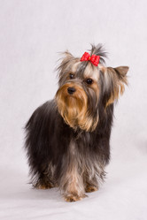 Similar image 346069