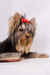 Similar image 346070