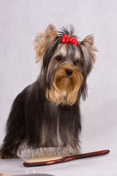 Similar image 346071