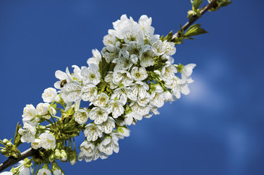 Similar image 346089