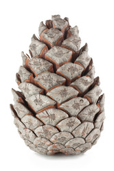 Similar image 346109