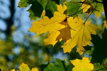 Similar image 346136