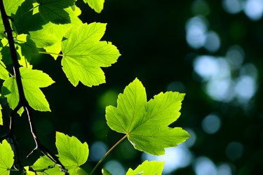 Similar image 346138