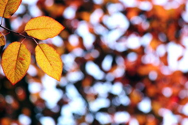 Similar image 346139