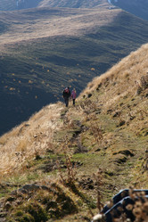 Similar image 346174