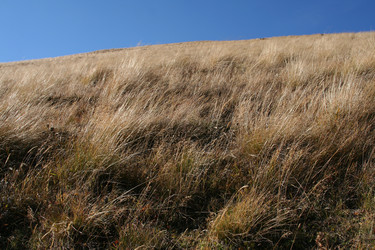 Similar image 346176