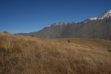 Similar image 346223