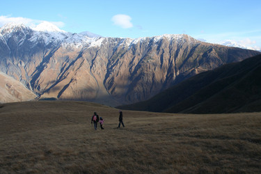 Similar image 346225