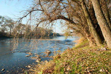 Similar image 346239