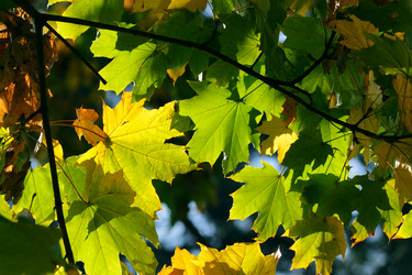 Similar image 346286