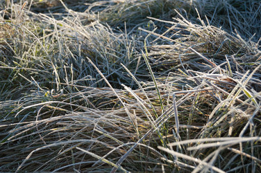 Similar image 346307