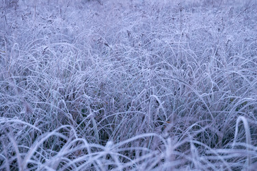 Similar image 346309