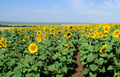 Similar image 346328