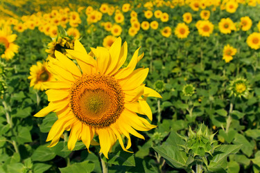 Similar image 346351