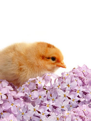 Similar image 346359