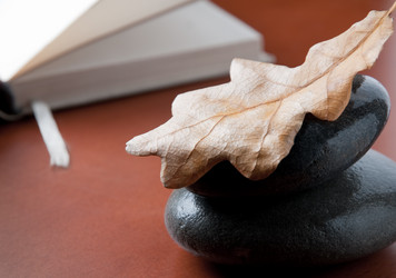 Similar image 346505