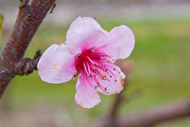 Similar image 346546