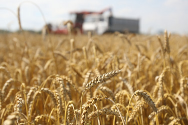 Similar image 346619