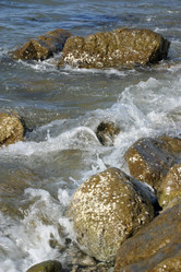 Similar image 346620