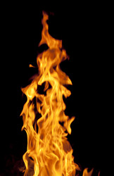 Similar image 346633