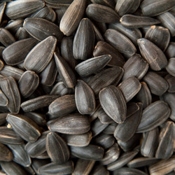 Similar image 346646