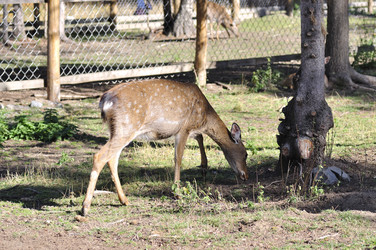 Similar image 346697