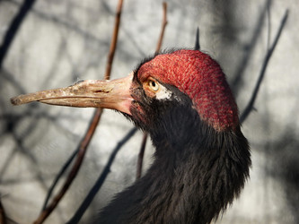 Similar image 346752