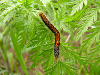 Similar image 346836