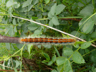 Similar image 346837