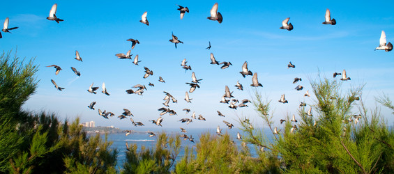 Similar image 346865