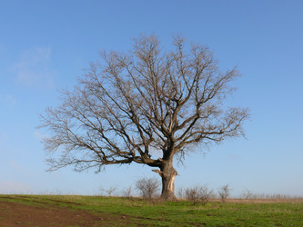 Similar image 346888