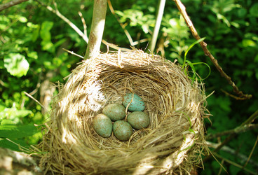 Similar image 346902