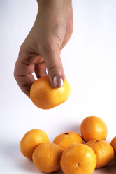 Similar image 346907